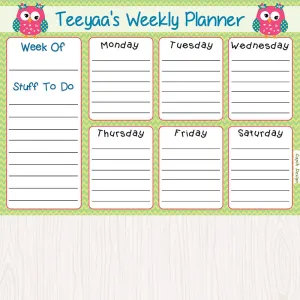 Activity Planner - Owls, Set of 50