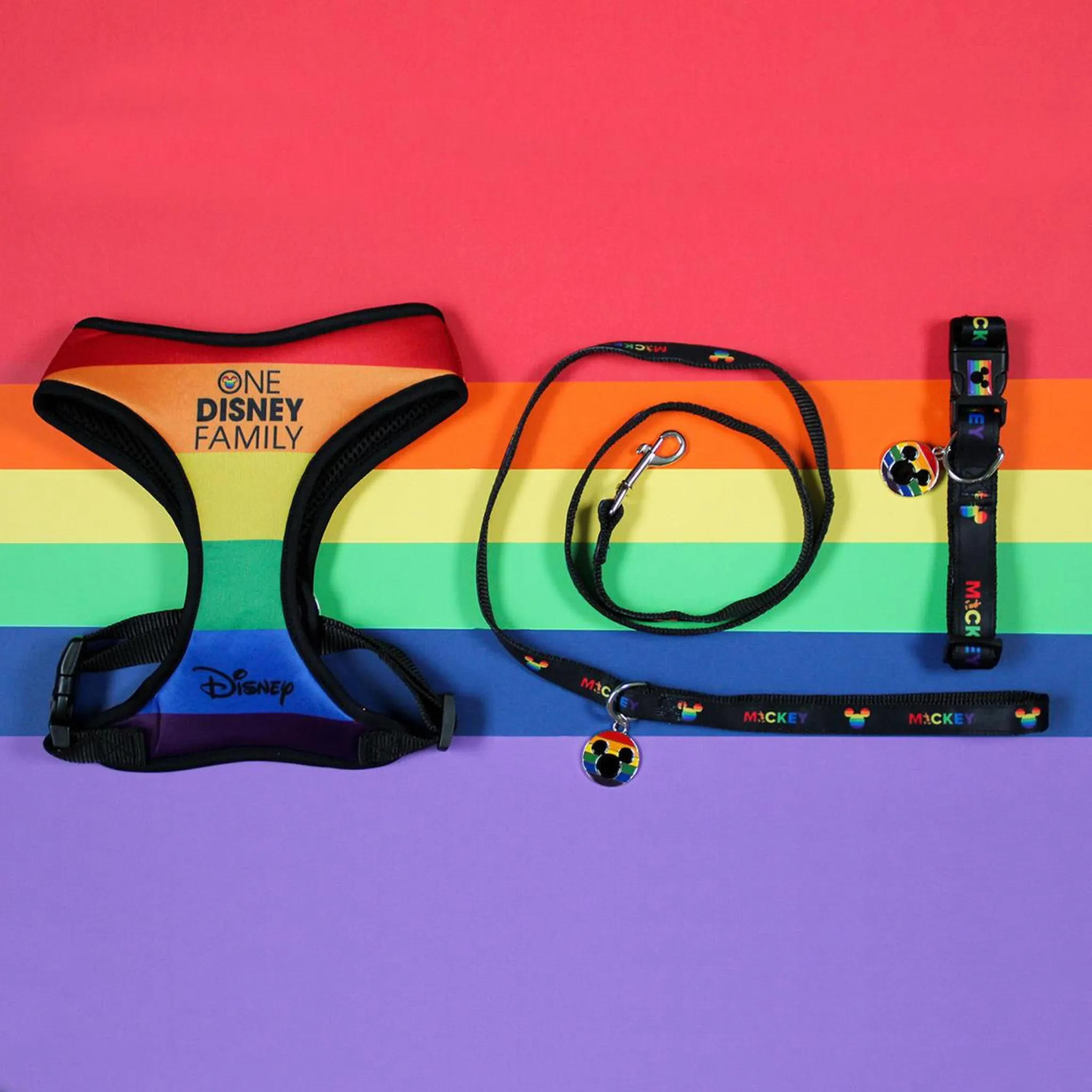 Disney Rainbow Dog Collar